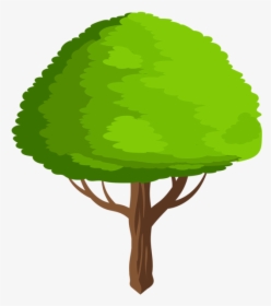 Cartoon Trees Png - Transparent Cartoon Green Tree, Png Download, Transparent PNG