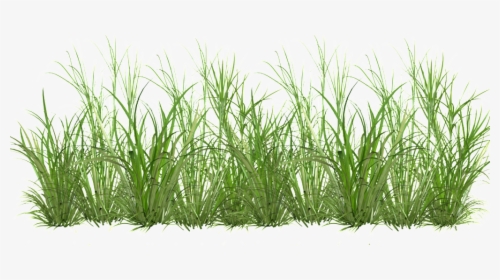 Grass Cartoon Transparent - Cartoon Grass Png Transparent, Png Download, Transparent PNG