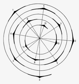 Transparent Fibonacci Spiral Png - Spiral, Png Download, Transparent PNG