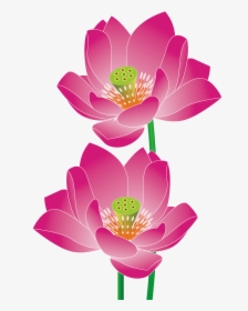 Transparent Lotus Vector Png - เวก เตอร์ Png ภาพ พื้น หลัง ดอกบัว, Png Download, Transparent PNG