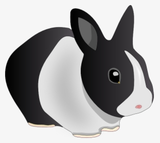 Danko Friendly Rabbit Svg Clip Arts - Rabbit Clip Art, HD Png Download, Transparent PNG