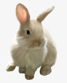 Easter Bunny Rabbit Clip Art - Transparent Background Rabbit Clipart, HD Png Download, Transparent PNG