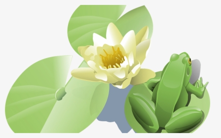 Transparent Lotus Vector Png - Lily Pad Clip Art, Png Download, Transparent PNG
