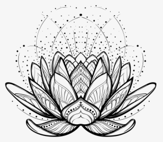 Illustration Vector Design Graphics Drawing Stock Clipart - Lotus Flower Line Drawing, HD Png Download, Transparent PNG