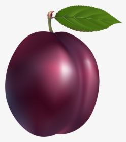 Clipart Fruit Purple Fruit - Plum Clipart, HD Png Download, Transparent PNG