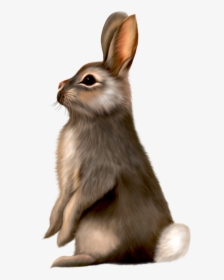 Brown Easter Bunny Clip Art, HD Png Download, Transparent PNG