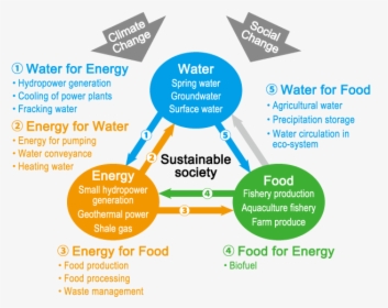 Role Of Water In Food Processing, HD Png Download, Transparent PNG
