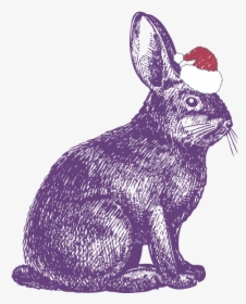 Rabbit Show Jumping Drawing Illustration - Rabbit Drawing, HD Png Download, Transparent PNG