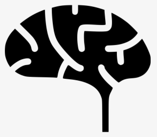 Brain - Icon, HD Png Download, Transparent PNG
