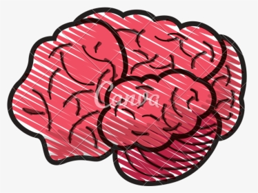 Vector Doodle Brain - Cerebro Dibujo Vector, HD Png Download, Transparent PNG