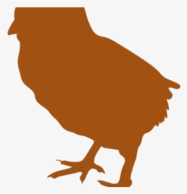 Silhouette Clipart Chicken - Chicken, HD Png Download, Transparent PNG