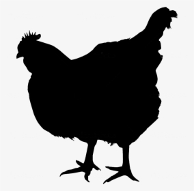 Transparent Rooster Silhouette Png - Chicken Silhouette With No Background, Png Download, Transparent PNG