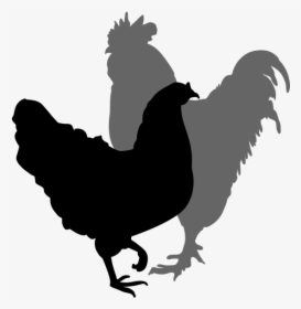 Chicken Silhouette Clipart Best - Rooster, HD Png Download, Transparent PNG
