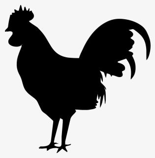 Silhouette, Bird, Nature, Dark, Chicken - Rooster Icon Png, Transparent Png, Transparent PNG