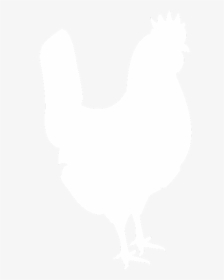 White Silhouette Of The Fancy Chicken Farm Co Logo - Rooster, HD Png Download, Transparent PNG