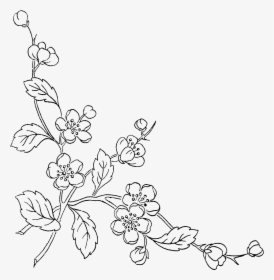 Of Flowers Transprent Free - Transparent Background Flower Line Art Png, Png Download, Transparent PNG