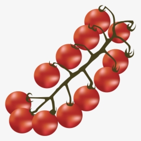 Bush Tomato, HD Png Download, Transparent PNG