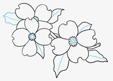 Dogwood Flower Drawing Easy, HD Png Download, Transparent PNG