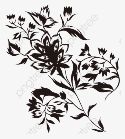 Black Floral Sketch Vine - Silhouette, HD Png Download, Transparent PNG