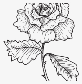 Flower Sketch - Flower Sketch Png, Transparent Png, Transparent PNG