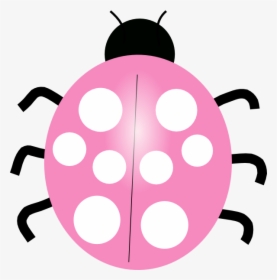 Transparent Ladybug Clipart Png - Blue Ladybug Clipart, Png Download, Transparent PNG