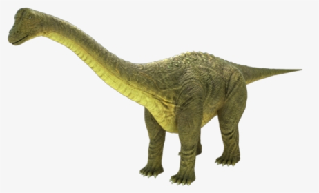 Dinosaur Png Brontosaurus Real, Transparent Png, Transparent PNG