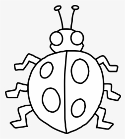 Ladybug Outline Clipart - Bug Clipart Black And White, HD Png Download, Transparent PNG