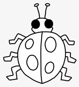 Outline Of A Ladybird, HD Png Download, Transparent PNG