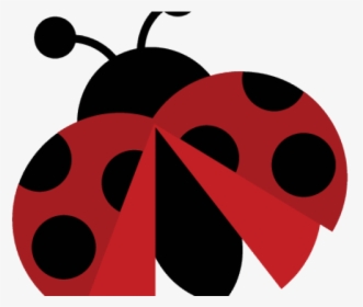Cute Ladybug Clipart - Cute Ladybug Png, Transparent Png, Transparent PNG