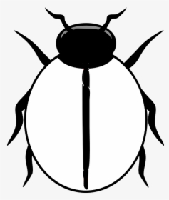 Transparent Ladybug Png - Ladybird Clipart Black And White, Png Download, Transparent PNG