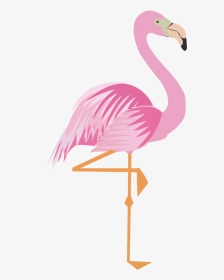 Flamingo Clipart Png - ฟ ลา มิ ง โก้ การ์ตูน, Transparent Png, Transparent PNG