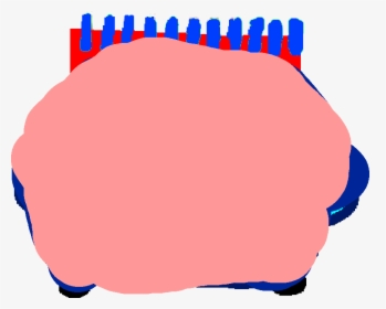 Sonic's Clues Drawing Notebook, HD Png Download, Transparent PNG