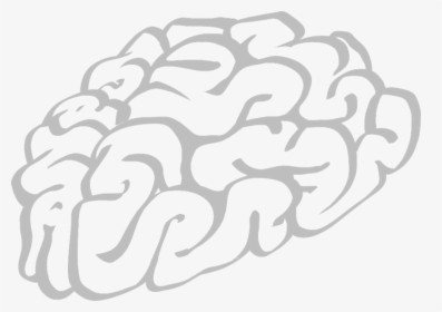 Brains, Human, Brain, Think, Stem, Cerebrum, Biology - Brain Cartoon Black And White, HD Png Download, Transparent PNG