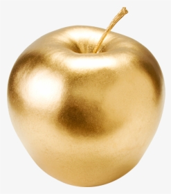 Apple Harvest Clipart, HD Png Download, Transparent PNG
