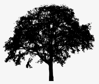 Tree Silhouette Royalty-free Clip Art - Tree Silhouette Png, Transparent Png, Transparent PNG