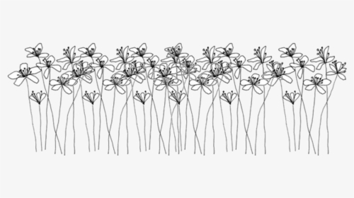 Transparent Black And White - Black And White Flowers Drawing, HD Png Download, Transparent PNG