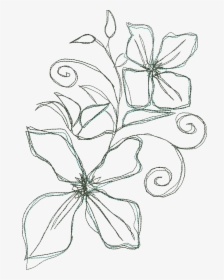 White Flower Doodle Png, Transparent Png, Transparent PNG