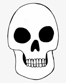 Free Blank Skull Printable - Skeleton Skull Printable, HD Png Download, Transparent PNG