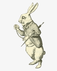 Alice Module2 Aaiw1984tenniel - Rabbit Alice In Wonderland Drawing, HD Png Download, Transparent PNG