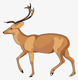 Nature Clipart Deer Free - Debden Park High School, HD Png Download, Transparent PNG