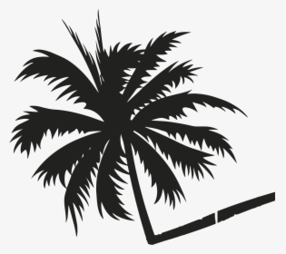 Transparent Palmeira Png - Coconut Tree Vector Background, Png Download, Transparent PNG