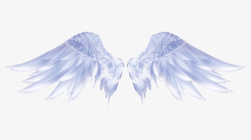#angle #wings #anglewings - Colorful Pastel Angel Wings, HD Png Download, Transparent PNG