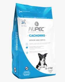 Nupec, HD Png Download, Transparent PNG
