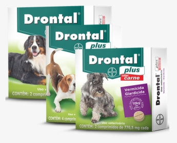 Drontal® Plus Carne - Remedio De Verme Para Cachorro, HD Png Download, Transparent PNG