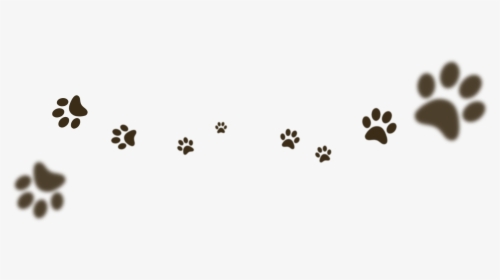 Japanese Terrier, HD Png Download, Transparent PNG