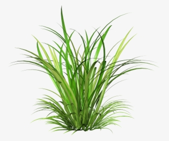Png Transparente De Arbustos De Tinta Verde - Transparent Grass Png, Png Download, Transparent PNG