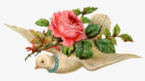 Transparent Dove Png - Vintage Bird With Flower Png, Png Download, Transparent PNG