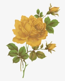 Yellow Cliparts Transparent Vintage - Transparent Png Vintage Floral, Png Download, Transparent PNG