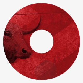 Circle, HD Png Download, Transparent PNG