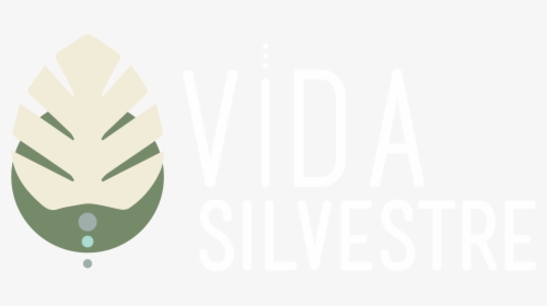 Bienvenidos A Vida Silvestre Tulum - Graphic Design, HD Png Download, Transparent PNG